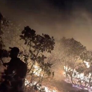 diyarbakirdaalevler 5 saatte kontrol altina alindi bkP86s8N