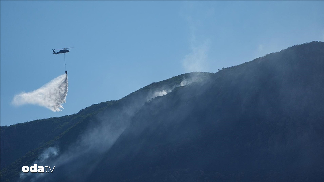 seferihisarda orman yangini cikti N4JjUKBZ
