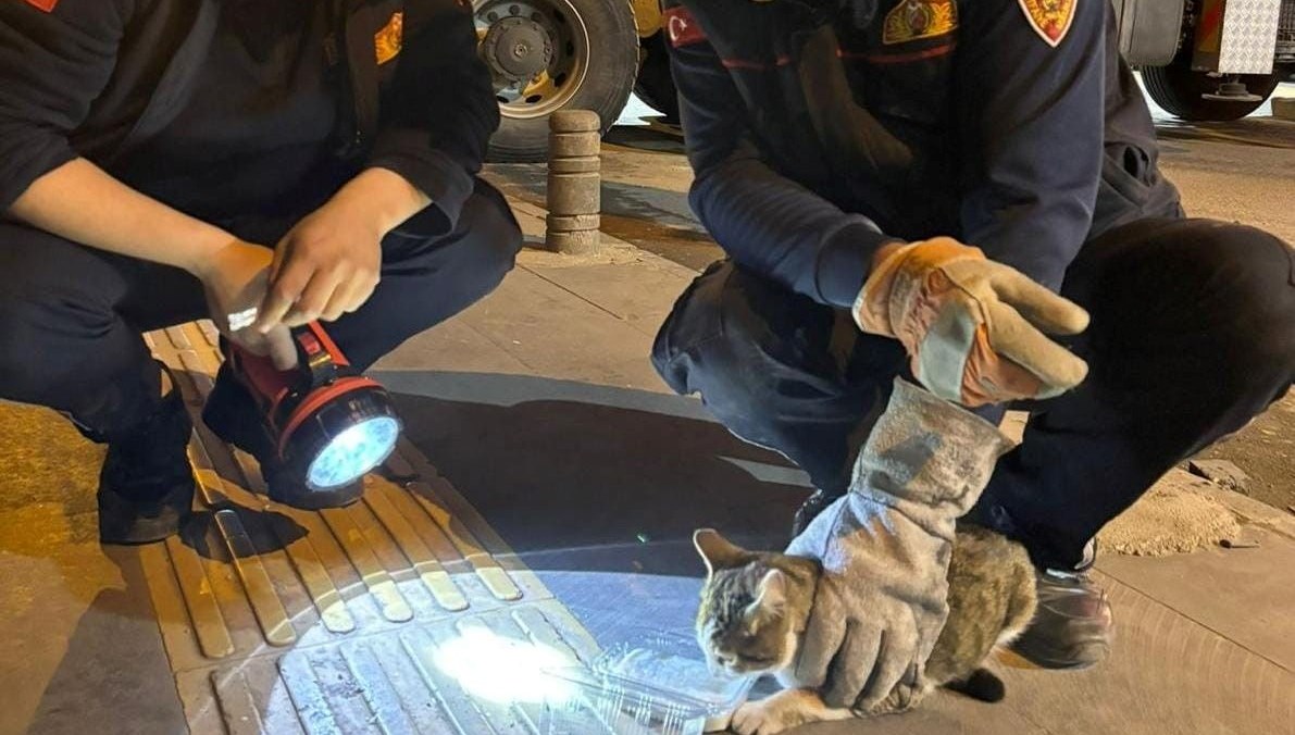 agacta uc gundur mahsur kalan kediyi itfaiye kurtardi 8fKvGGRW