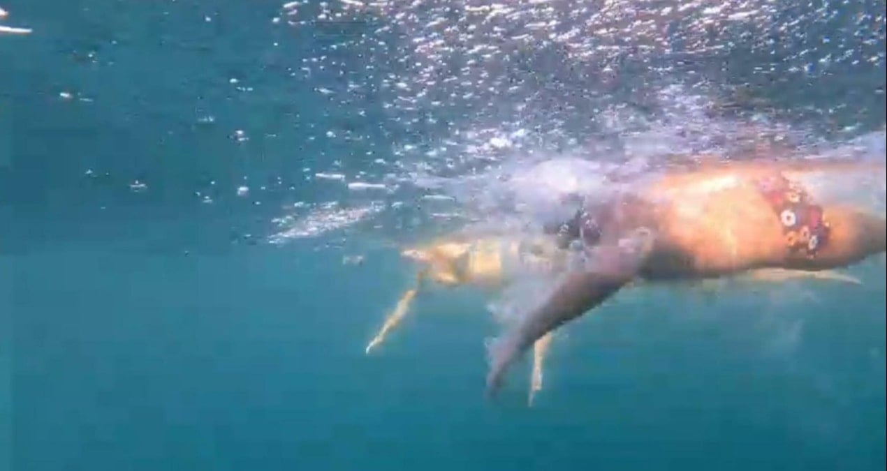 cebelitarik bogazini gecen otizmli tuna genclere ilham kaynagi oldu 9PqYa1Jn