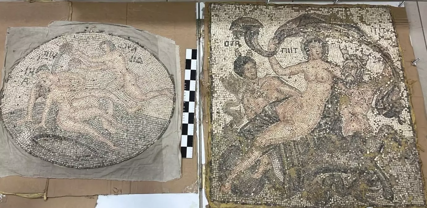 gaziantepte mozaik operasyonu 3 gozalti qerCYpQP