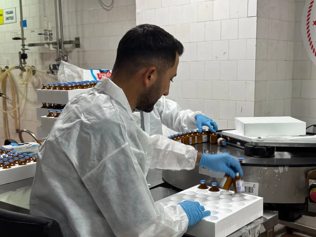 sap hastaligi asilamasi ile azaliyor hcBlzmpt