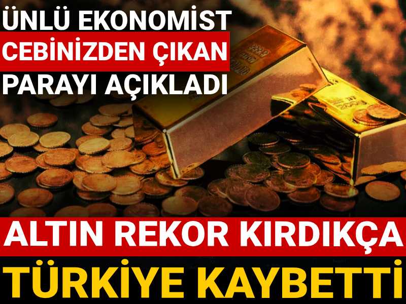 altin rekor kirdikca turkiye kaybetti unlu ekonomist cebinizden cikan parayi acikladi H2cbfs2W