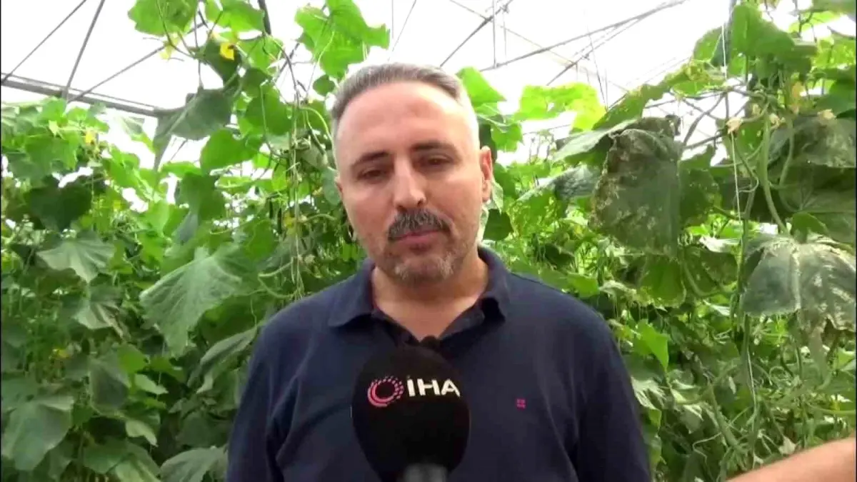 diyarbakirda salatalik serasi kuruldu ONUrygNH