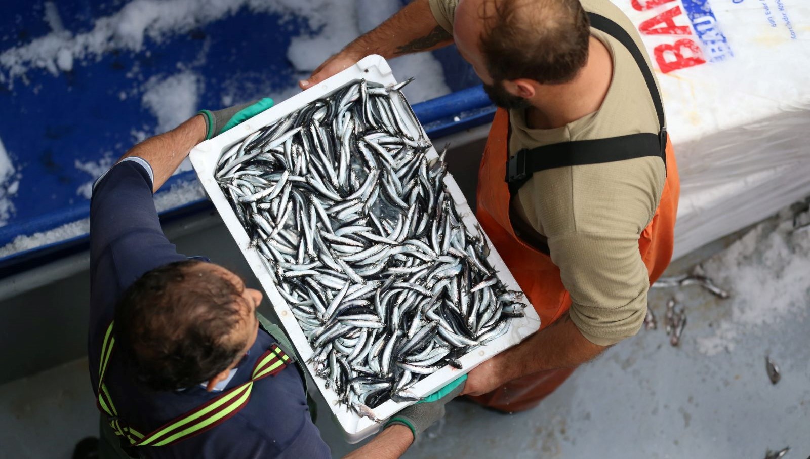 sinopta balikci tezgahlari hamsiyle doldu dX2qw3FM