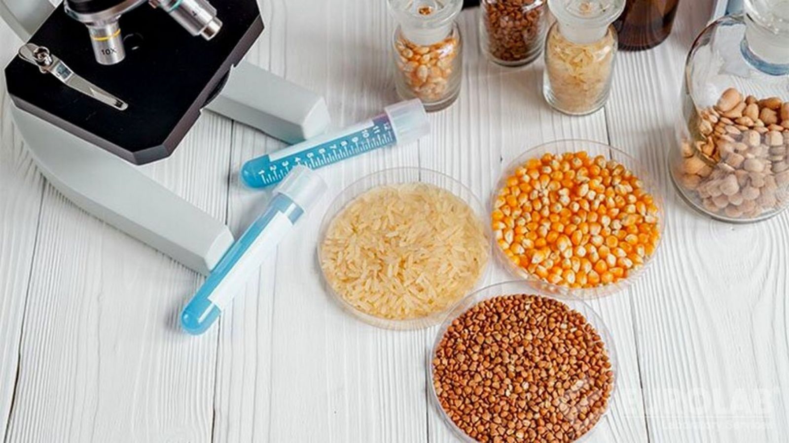 tmr ve kaba yemlerde yem analizi makinesi avantajlari SAjO5OJU