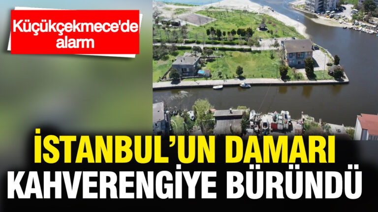 kucukcekmecede-alarm-menekse-deresi-kahverengiye-burundu-IYZab64k